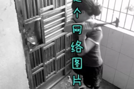 柘城贷款清欠服务